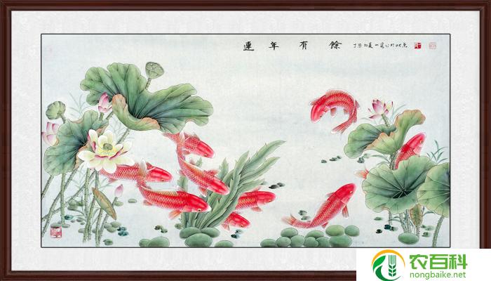 水中莲有什么含义（象征纯净与坚强的生命力）