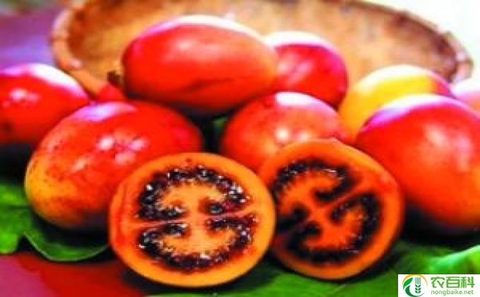 什么水果提神