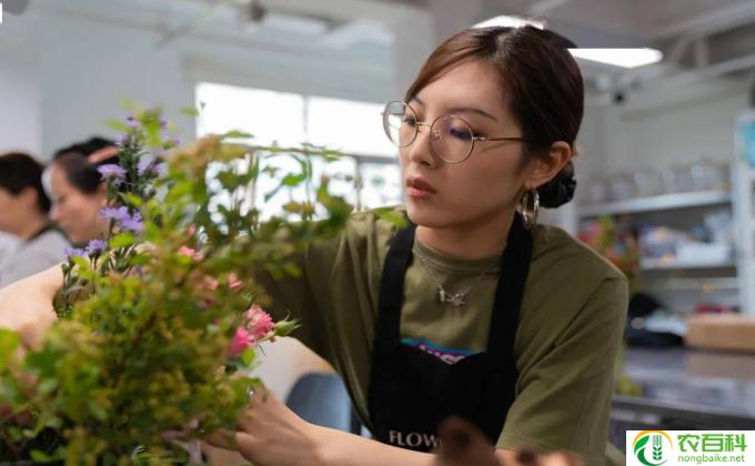 西洋花怎么写(西洋花的独特魅力)