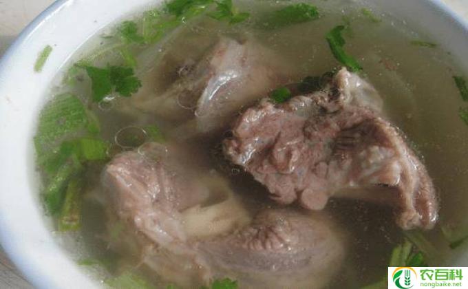 羊肉炖什么药材