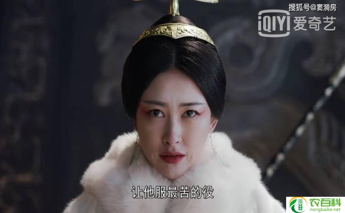 大秦赋中秦王娶的两个夫人