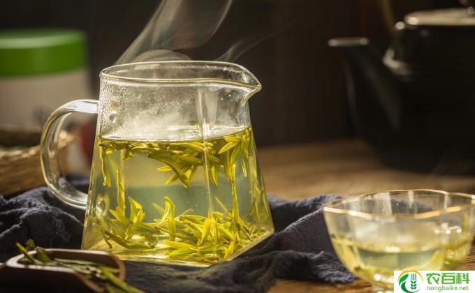 绿茶不能和什么一起喝