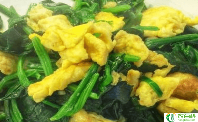 入伏吃什么好排湿气