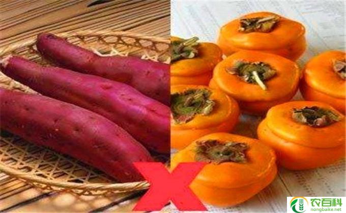 柿子能做什么