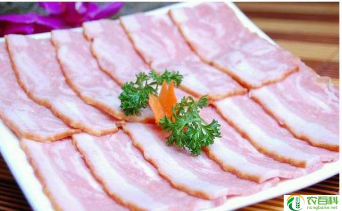 什么是培根肉