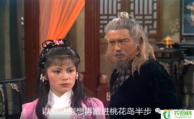 江南七怪喜欢韩小莹的是谁