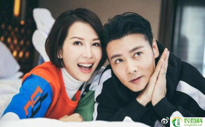 张晋和蔡少芬差几岁