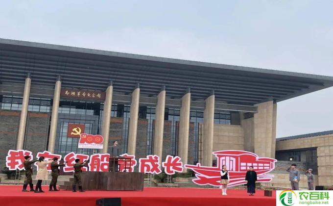 真情年代大结局分析