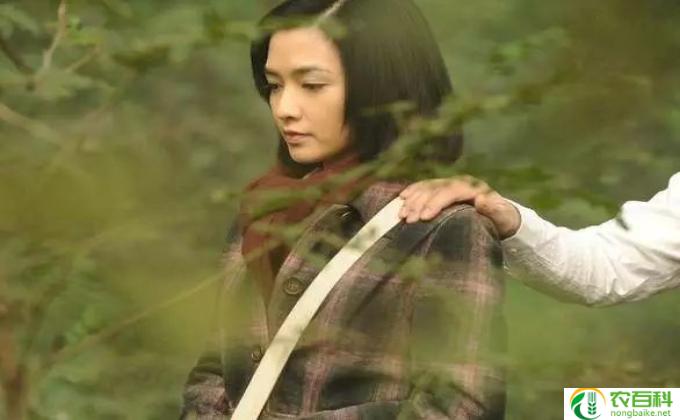 周迅主演的谍战片全部电影