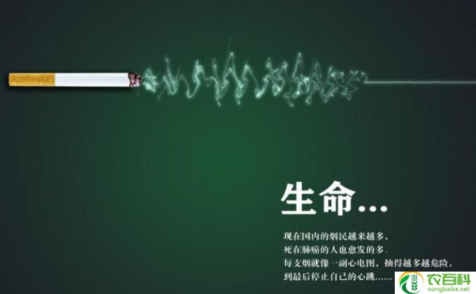二手烟除了容易损害儿童呼吸系统