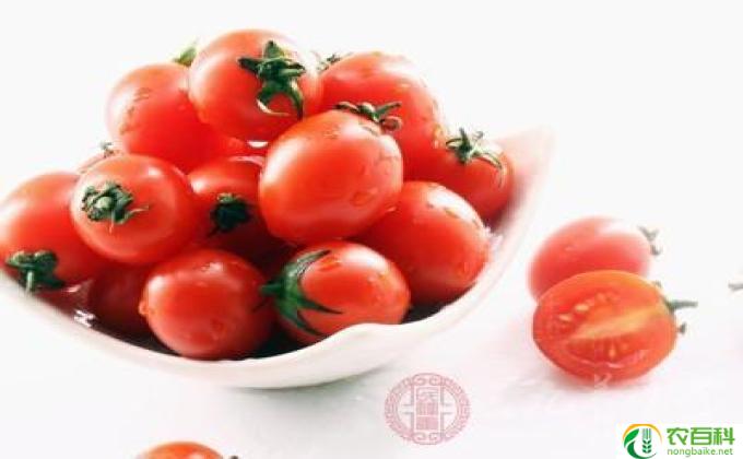 肝火旺盛吃什么食物