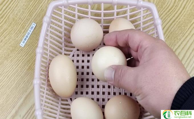 腌鸡蛋放白酒什么作用