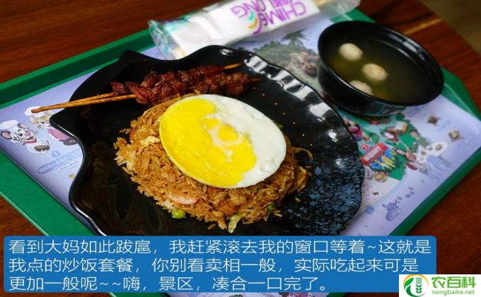 什么是料理(简洁的标题：美食解码）