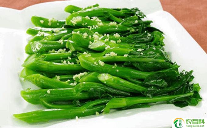 什么菜好炒(最好炒菜）