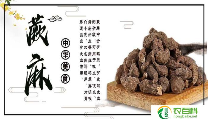 朴树叶的食用方法(多种烹饪方式)