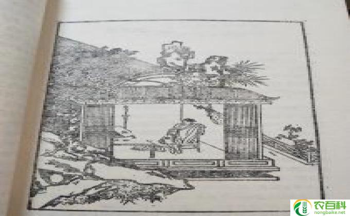 明清小说野史