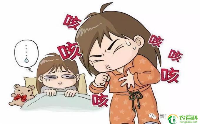 嗓子痛吃什么