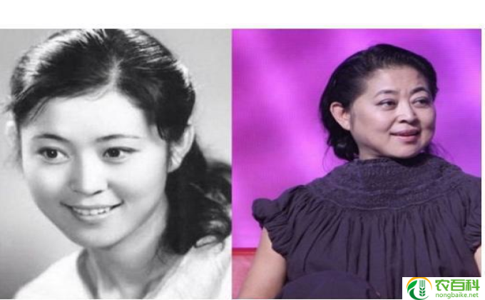 倪萍都写了哪些书