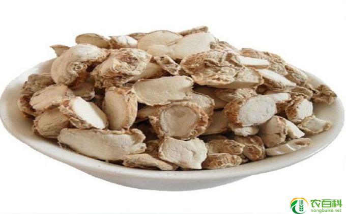 沙姜怎么不苦(沙姜不苦的原因）