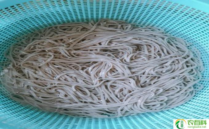 冷面什么做的(冷面的制作工艺步骤）