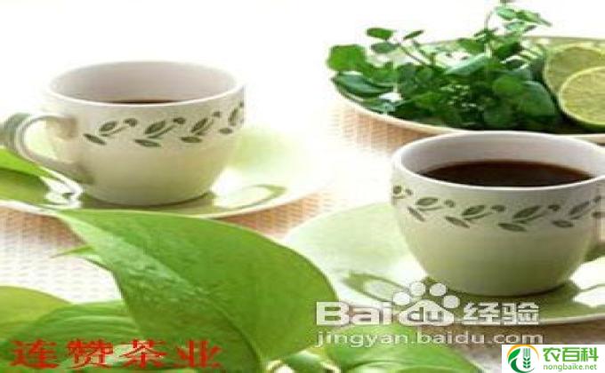 孕妇喝什么茶