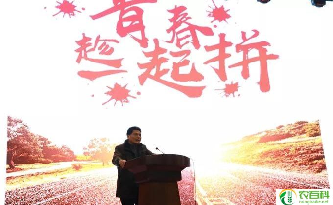心态稳定是什么意思