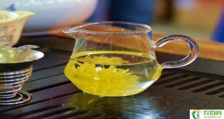 菊花泡水喝的9大禁忌(了解这些,喝菊花水更安心)