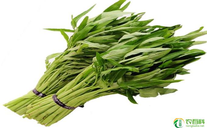 什么菜降糖(降血糖的菜）