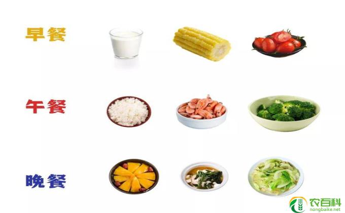 什么东西吃了减肥(减肥必不可少的食物）