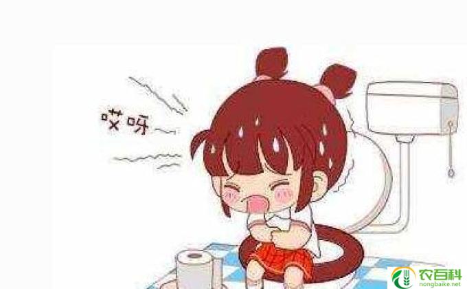 吃什么东西能治便秘(治便秘的好吃又健康）