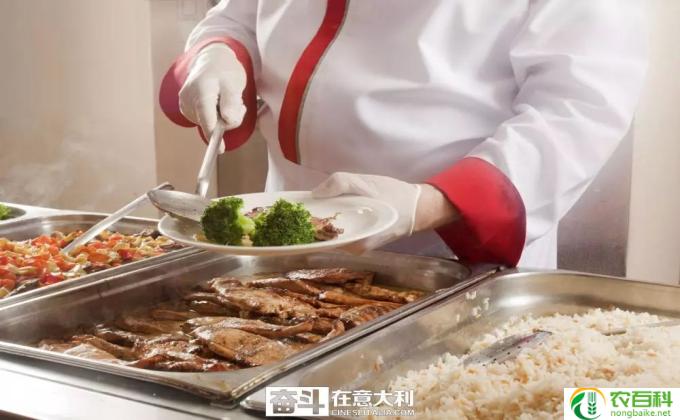 吃什么主食不长肉(健康饮食秘诀）