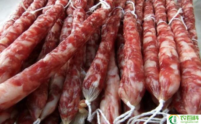灌香肠用什么肉