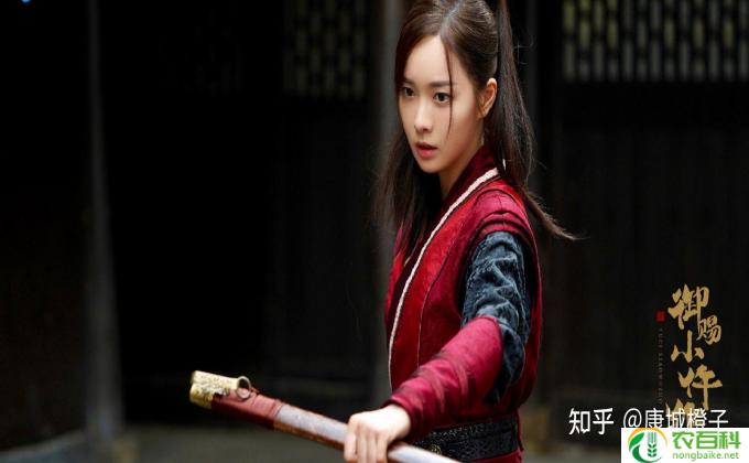 小儿难养徐昭仪被揭穿的结局,徐昭仪终被揭穿