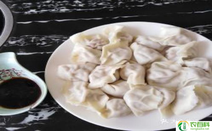 羊肉和什么菜包饺子好吃