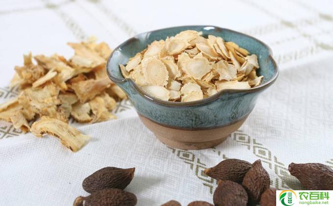 西洋参花怎么吃最好(西洋参的最佳食用方式)