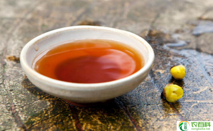 肉桂茶适合什么季节喝