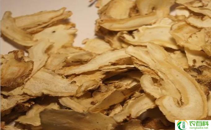 当归有什么功效和作用