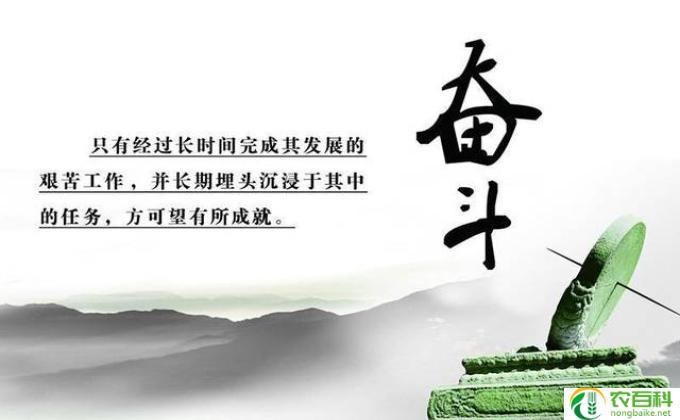人生梦想有哪些