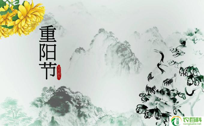幸福都怎么养(幸福之道）