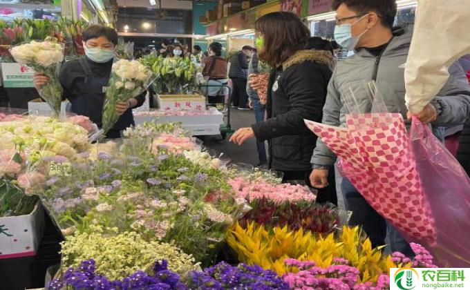 鲜切花批发生意怎么样(花卉批发买卖怎么样）