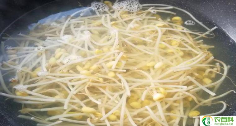 黄豆芽生长步骤图片（从种子到绿叶的成长之旅）