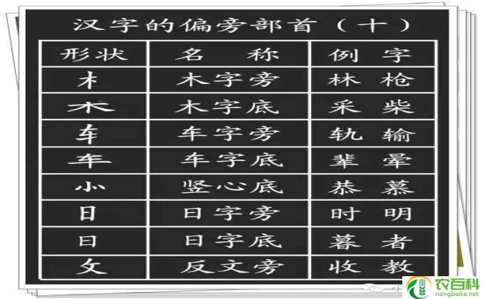 奥字的部首查字法