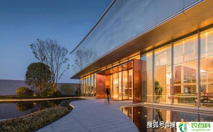 金雀怎么育苗(育苗妙招，铸就金雀）