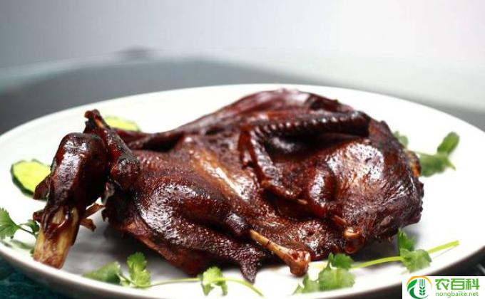 谷鸭是什么鸭