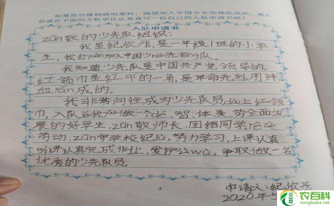 少先队入队申请表怎么填