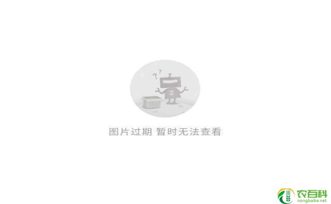 dell台式机怎么样