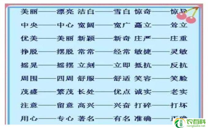 单纯的反义词是什么