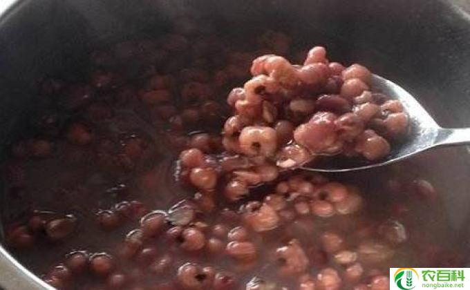 红豆和什么一起煮比较好