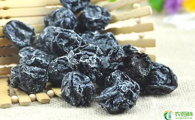 乌梅不能和什么一起吃