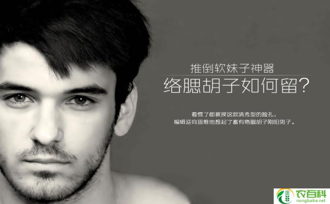 如何留络腮胡,留络腮胡技巧